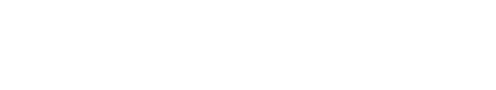 B2B Händlerfahrzeuge